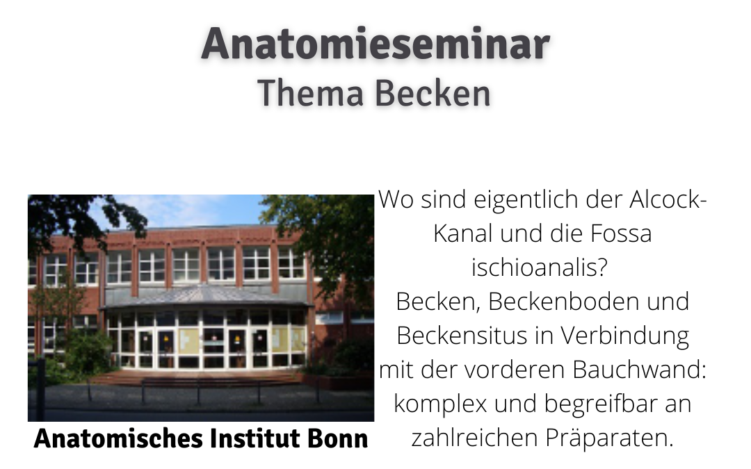2023 Anatomie Bonn Becken