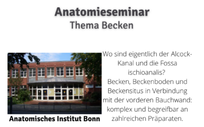Anatomieseminar in Bonn mit dem Thema Becken